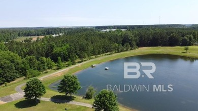 (private lake, pond, coastal) Acreage For Sale in Atmore Alabama