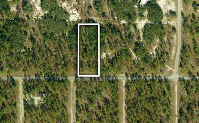 Bonable Lake Lot For Sale in Dunnellon Florida