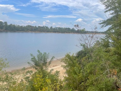 Tennessee River - Hardin County Lot For Sale in Savannah Tennessee