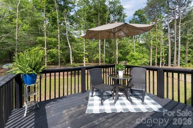 Conveniently located five minutes from Landrum SC, this - photo 8