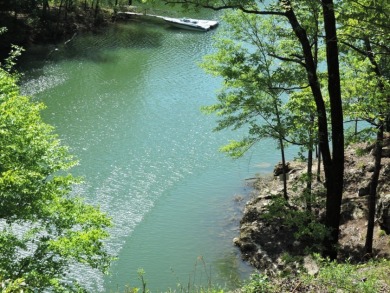 CLEARED AND READY TO USE! - Lake Lot For Sale in Double Springs, Alabama