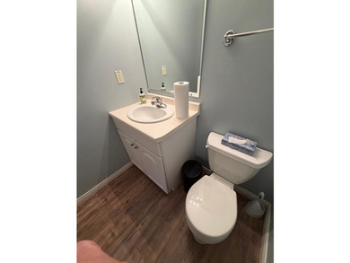 Come enjoy this Manitowish River, 3-bedroom, 3-bath year-round - photo 25