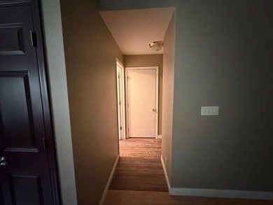 Come enjoy this Manitowish River, 3-bedroom, 3-bath year-round - photo 27