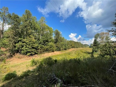 Lake Lanier Acreage For Sale in Gainesville Georgia