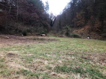 South Holston Lake Lot For Sale in Bristol Virginia