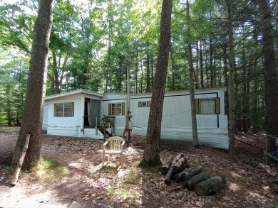 Lake Home For Sale in Gladwin, Michigan