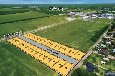 Rio Grande River  Lot Sale Pending in Rio Grande City Texas