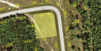 Rotunda Meadows Lakes  Lot For Sale in Placida Florida
