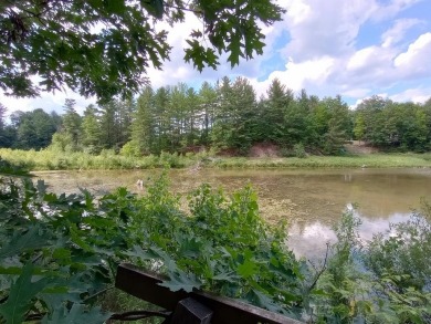(private lake, pond, creek) Acreage For Sale in Gladwin Michigan
