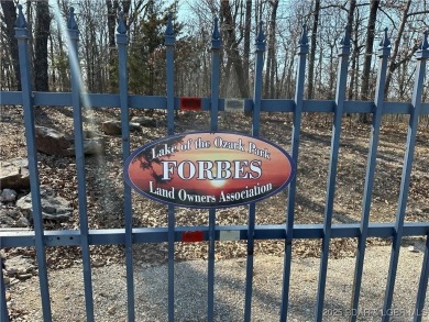 Lake of the Ozarks Acreage For Sale in Edwards Missouri
