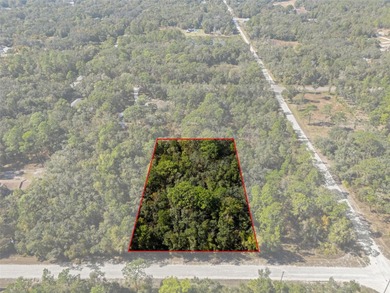 Withlacoochee River Lot Sale Pending in Webster Florida
