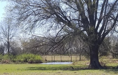 (private lake, pond, creek) Acreage For Sale in Detroit Texas