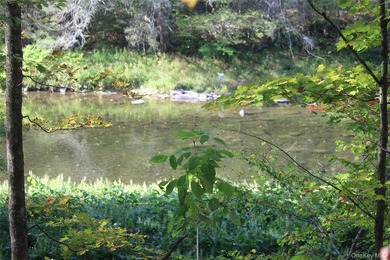 Discover your private 290+ acre Catskills retreat, a true - photo 13
