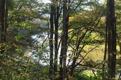 Discover your private 290+ acre Catskills retreat, a true - photo 14