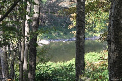 Discover your private 290+ acre Catskills retreat, a true - photo 15