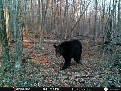 Discover your private 290+ acre Catskills retreat, a true - photo 16