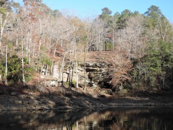 CLEARED AND READY TO USE! - Lake Lot For Sale in Double Springs, Alabama