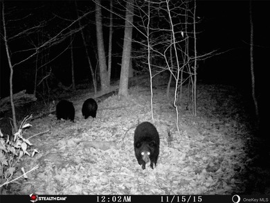 Discover your private 290+ acre Catskills retreat, a true - photo 18