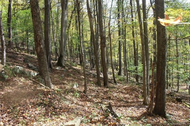 Discover your private 290+ acre Catskills retreat, a true - photo 24