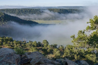 (private lake, pond, creek) Acreage For Sale in Rowe New Mexico
