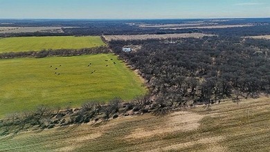 (private lake, pond, coastal) Acreage For Sale in Gorman Texas