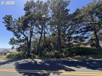 Imagine building your dream home nestled within the Marine Manor - photo 13