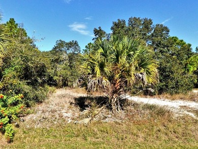 Northport Waterway Lakes and Canals Lot For Sale in North Port Florida