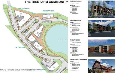 The Lakeside Parcel has approved development rights in the Tree - photo 3