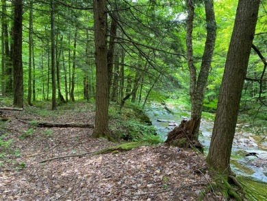 Prince Brook Falls - Lake Lot For Sale in Osceola, New York