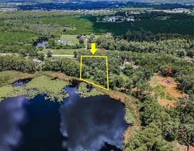 Lake Lot For Sale in Land O Lakes, Florida
