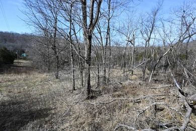 This 25+/- acre tract is located near Brumley in Miller County - photo 11