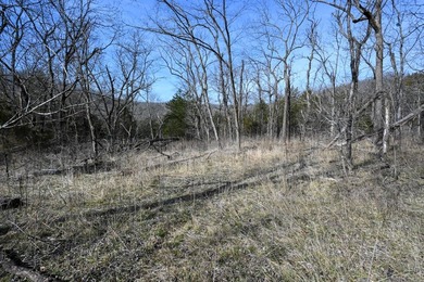 This 25+/- acre tract is located near Brumley in Miller County - photo 12
