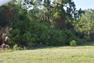 Build your dream home on this .23-acre lot in a desirable - photo 2