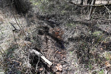 This 25+/- acre tract is located near Brumley in Miller County - photo 13