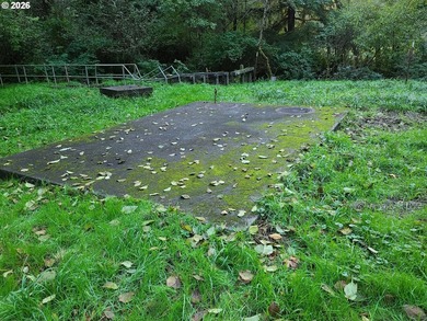 Commercial Water Facilities & Old Military Water Facilities too - photo 13