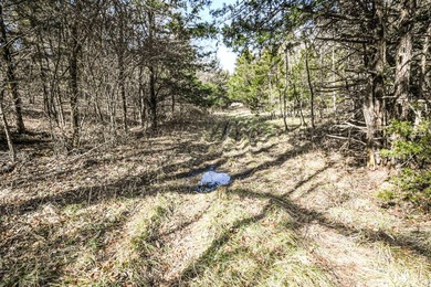 This 25+/- acre tract is located near Brumley in Miller County - photo 16