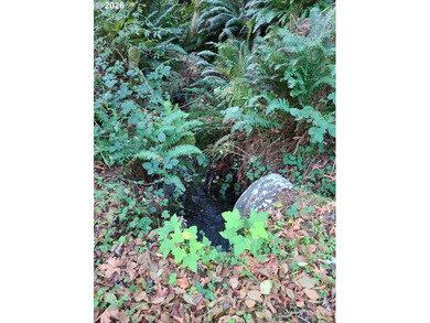 Commercial Water Facilities & Old Military Water Facilities too - photo 16