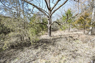 This 25+/- acre tract is located near Brumley in Miller County - photo 17
