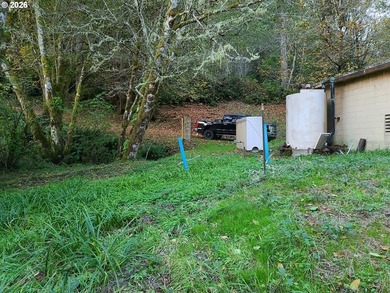 Commercial Water Facilities & Old Military Water Facilities too - photo 17