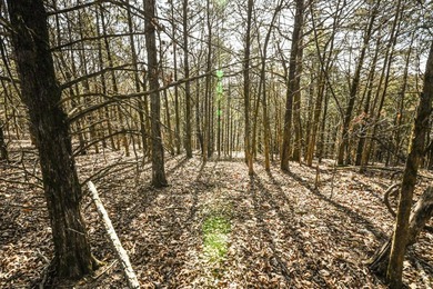 This 25+/- acre tract is located near Brumley in Miller County - photo 18