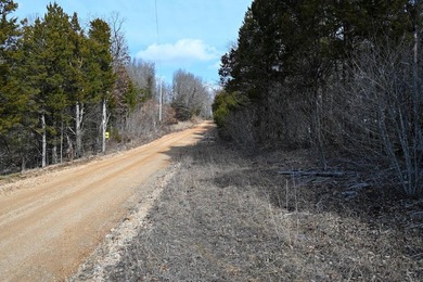 This 25+/- acre tract is located near Brumley in Miller County - photo 19