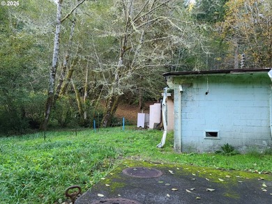 Commercial Water Facilities & Old Military Water Facilities too - photo 19