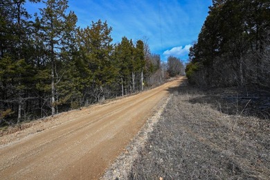 This 25+/- acre tract is located near Brumley in Miller County - photo 20