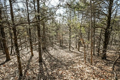 This 25+/- acre tract is located near Brumley in Miller County - photo 22