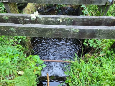 Commercial Water Facilities & Old Military Water Facilities too - photo 22