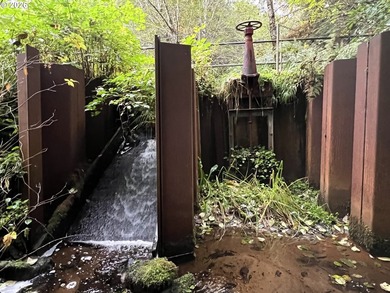 Commercial Water Facilities & Old Military Water Facilities too - photo 25