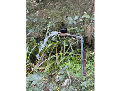 Commercial Water Facilities & Old Military Water Facilities too - photo 30
