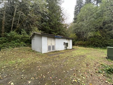 Commercial Water Facilities & Old Military Water Facilities too - photo 31