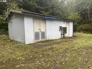Commercial Water Facilities & Old Military Water Facilities too - photo 32