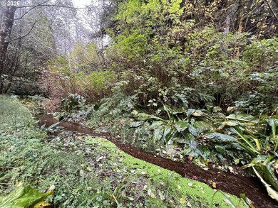 Commercial Water Facilities & Old Military Water Facilities too - photo 33